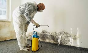 Mold Remediation for Rental Properties in Sheffield Lake, OH